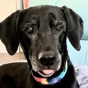 Meet your Posher, Michaela